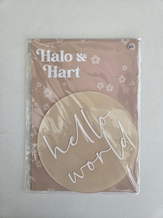 Birth Announcement Round - Shell